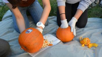 photo from pumpkin carving