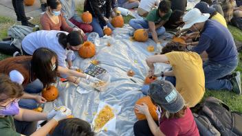photo from pumpkin carving